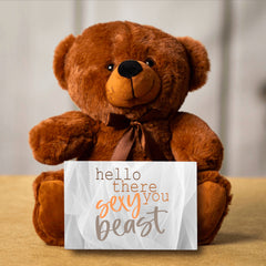 Teddy Bear with Love Note, Personalized ,Hello You Sexy Beast, Great Valentines, birthday, I love you gift